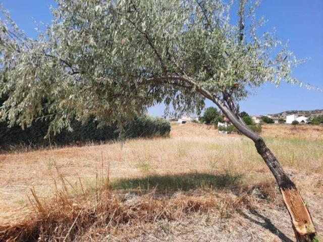 Terreno en venta en Paredes De Escalona, Castilla-La Mancha