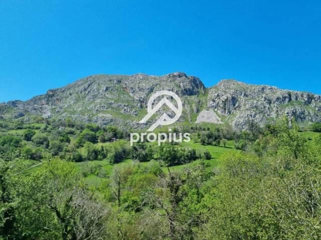 Terreno en venta en Parres, Asturias
