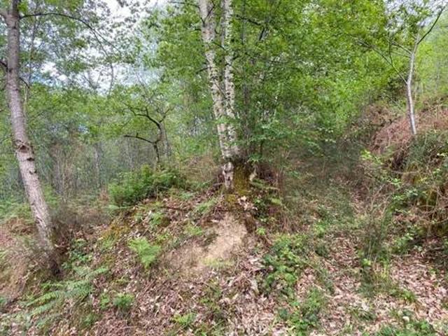 Terreno en venta en Parres, Asturias