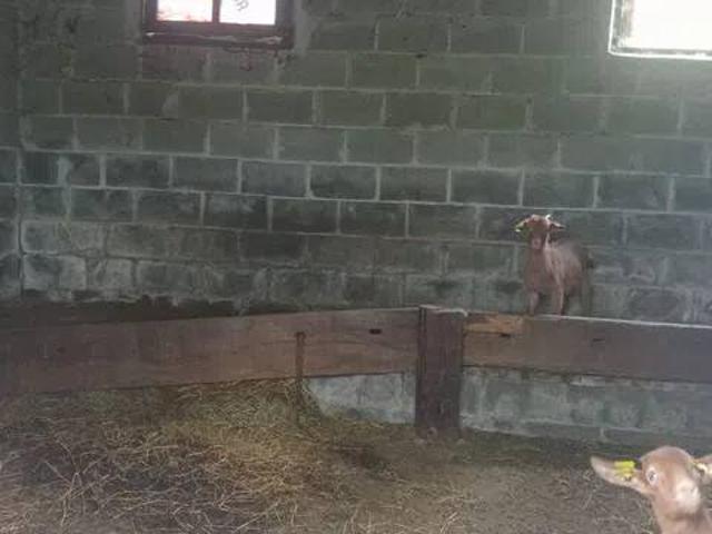 Terreno en venta en Parres, Asturias