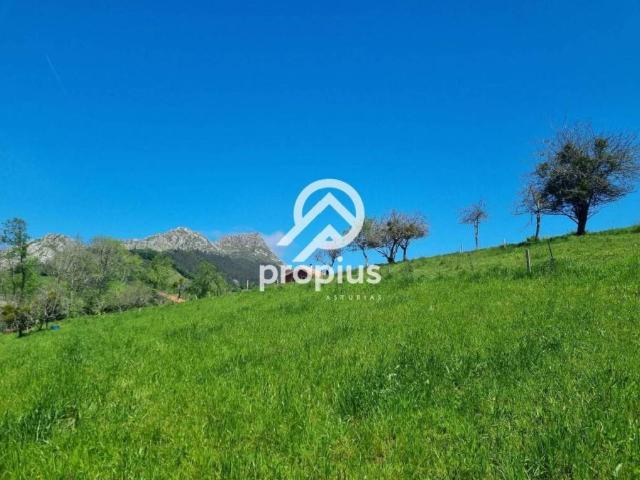Terreno en venta en Parres, Asturias