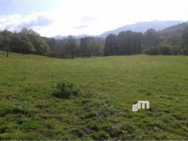Terreno en venta en Parres, Asturias