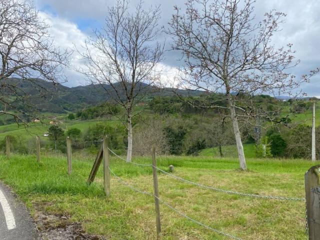 Terreno en venta en Amieva