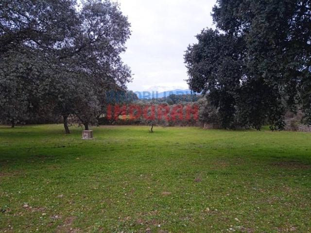 Terreno en venta en Parrillas, Castilla-La Mancha