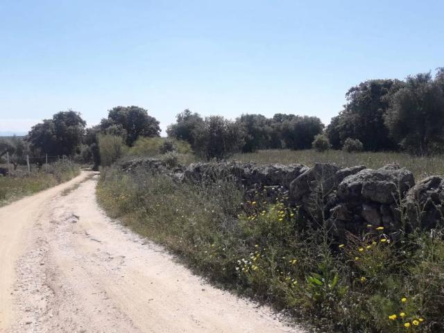 Terreno en venta en Parrillas, Castilla-La Mancha