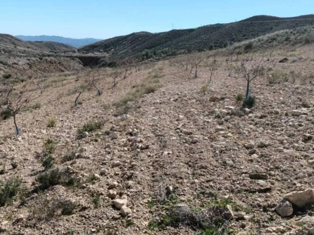 Terreno en venta en Valle del Almanzora, Andalucía