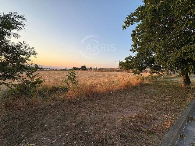 Terreno en venta en Osona, Catalunya