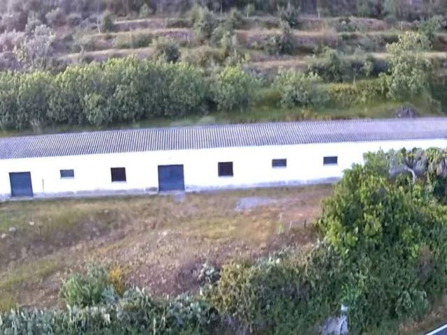 Terreno en venta en Pasarón De La Vera, Extremadura