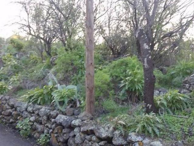 Terreno en venta en Tenerife, Santa Cruz De Tenerife