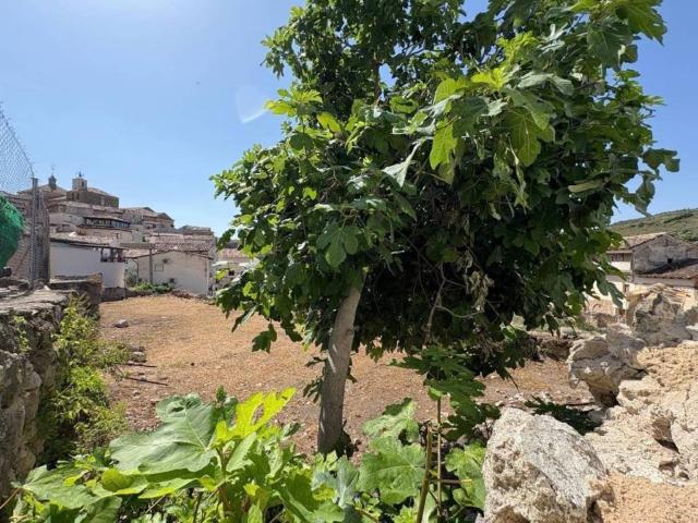 Terreno en venta en Pastrana, Castilla-La Mancha