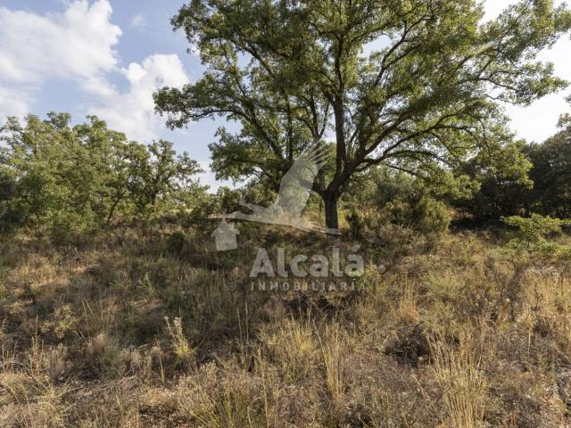 Terreno en venta en Pastrana