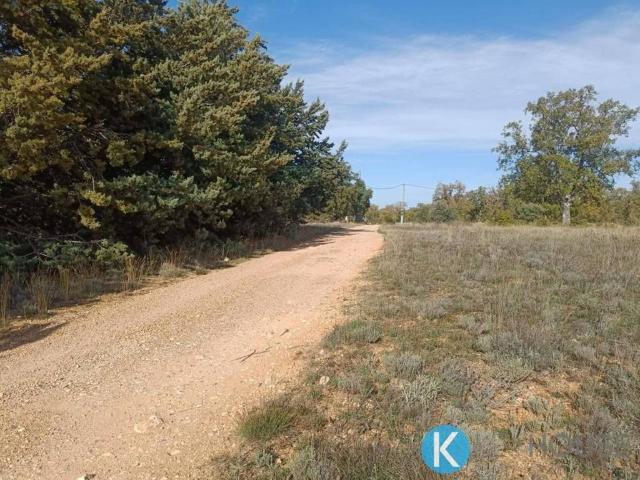 Terreno en venta en Pastrana, Castilla-La Mancha