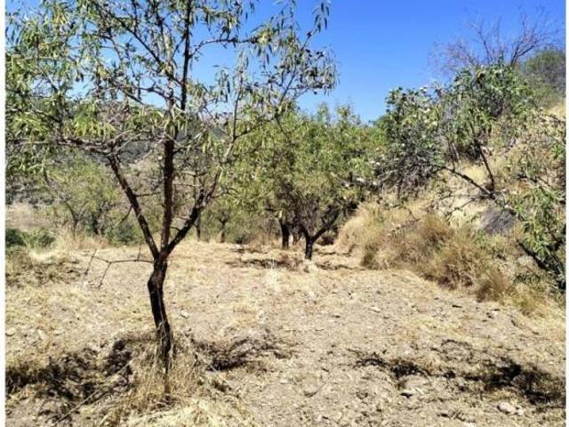 Terreno en venta en Paterna Del Río, Andalucía