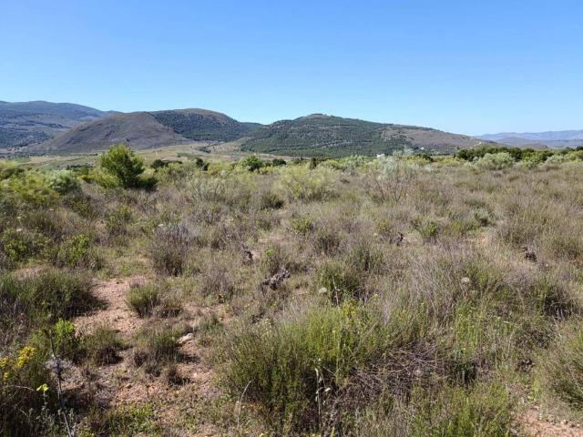 Terreno en venta en Paterna Del Río, Andalucía