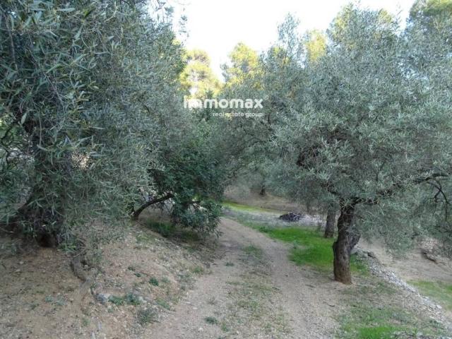 Terreno en venta en Baix Ebre, Catalunya