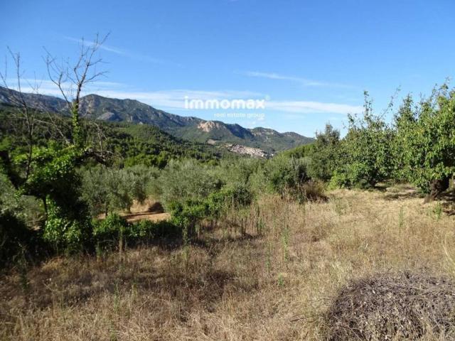 Terreno en venta en Baix Ebre, Catalunya