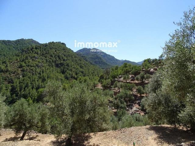 Terreno en venta en Baix Ebre, Catalunya