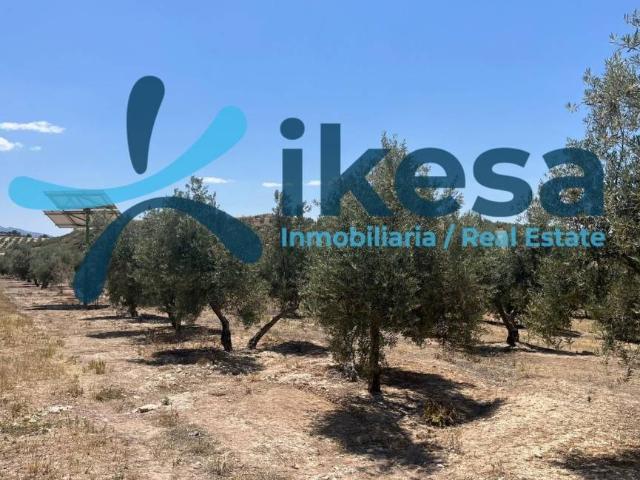 Terreno en venta en Peal De Becerro, Andalucía