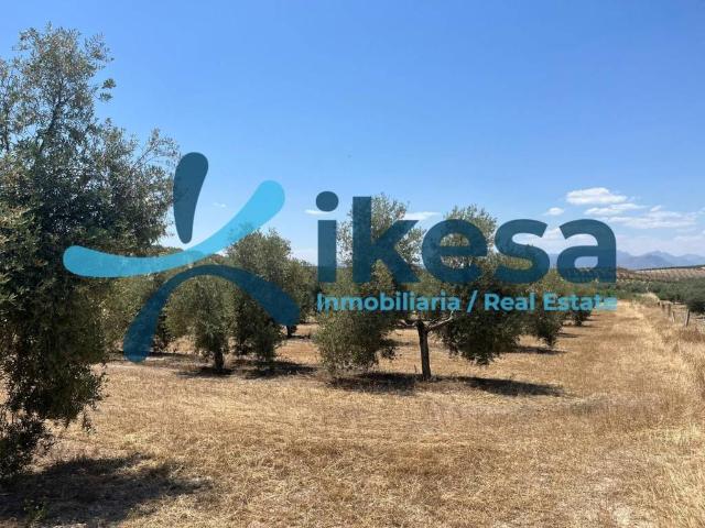 Terreno en venta en Peal De Becerro, Andalucía