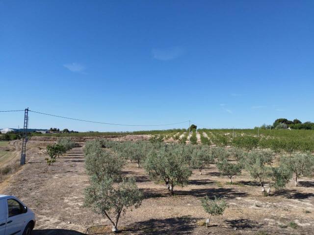 Terreno en venta en La Buenavista, Noroeste