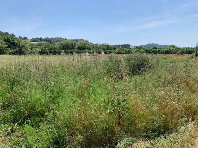 Terreno en venta en La Serranía, Valencia