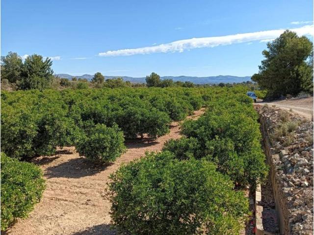 Terreno en venta en La Serranía, Valencia