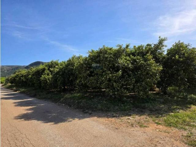 Terreno en venta en la Marina Alta, Valencia