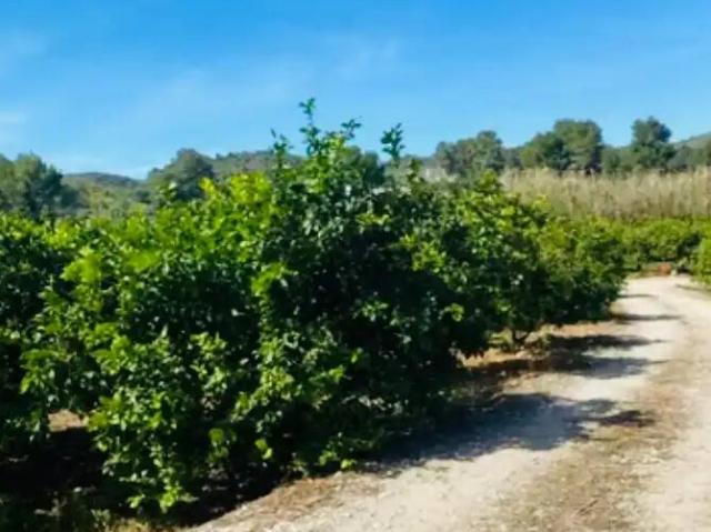 Terreno en venta en la Marina Alta, Valencia