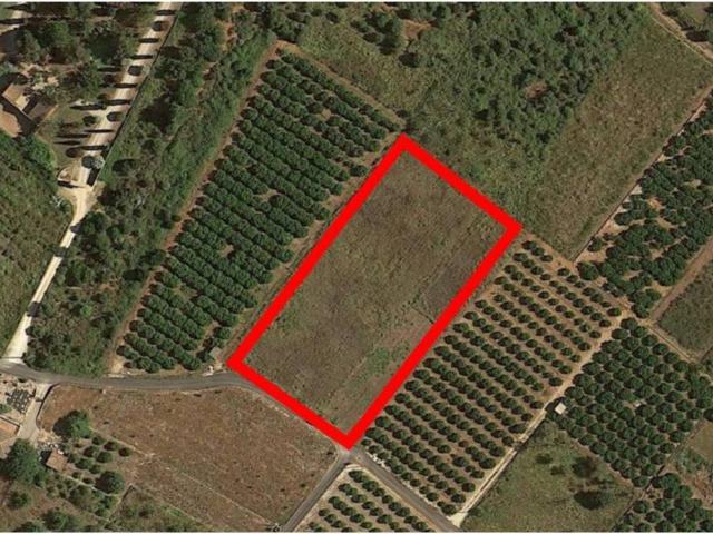 Terreno en venta en la Marina Alta, Valencia