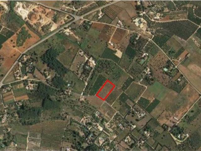 Terreno en venta en la Marina Alta, Valencia