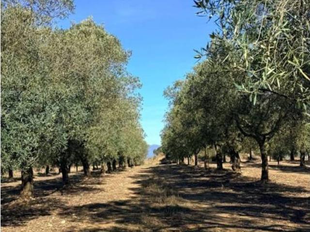 Terreno en venta en Alt Empordà, Catalunya