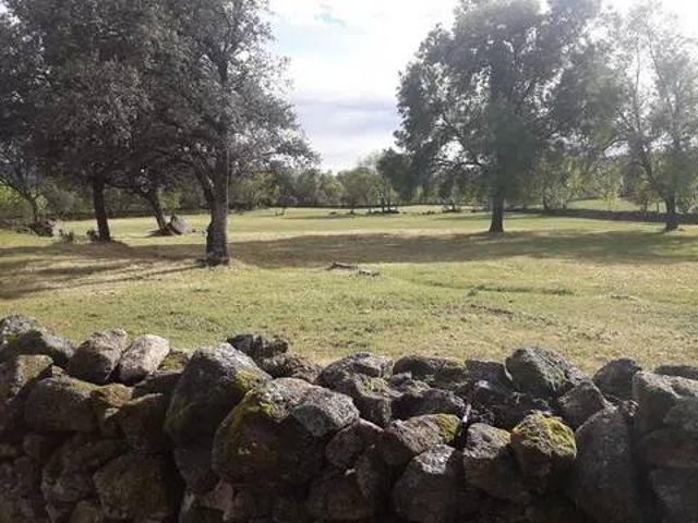 Terreno en venta en Pedro Bernardo, Castilla y León