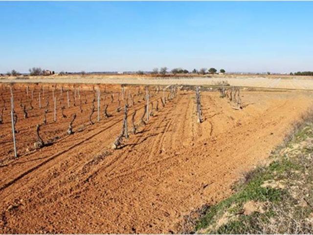 Terreno en venta en Pedro Muñoz, Castilla-La Mancha