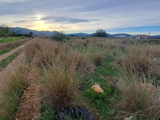 Terreno en venta en la Marina Alta, Valencia