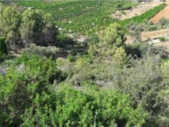 Terreno en venta en la Marina Alta, Valencia