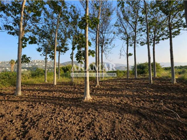 Terreno en venta en la Marina Alta, Valencia