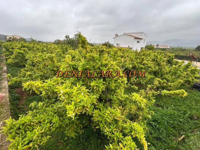 Terreno en venta en la Marina Alta, Valencia