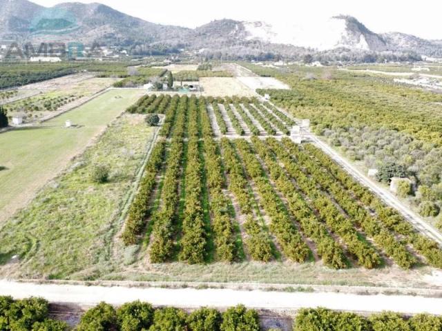 Terreno en venta en la Marina Alta, Valencia