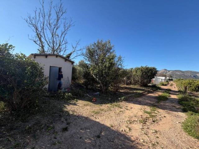 Terreno en venta en la Marina Alta, Valencia