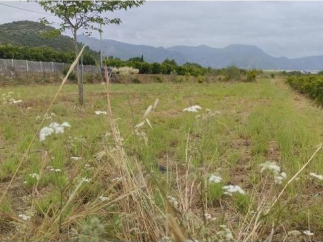 Terreno en venta en la Marina Alta, Valencia
