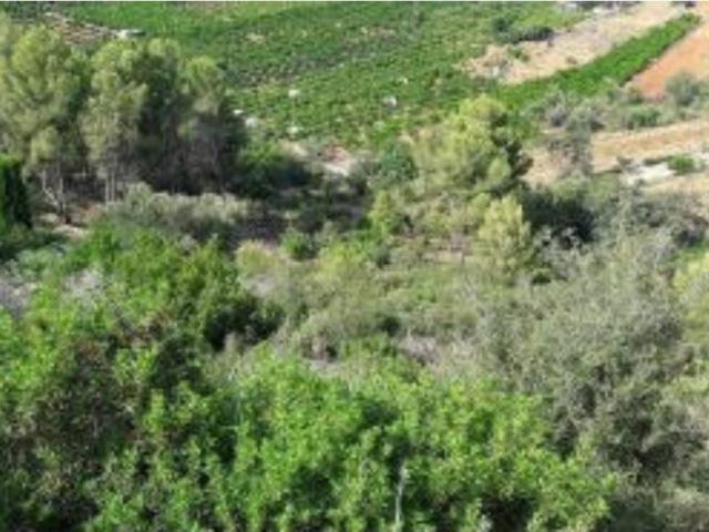 Terreno en venta en la Marina Alta, Valencia