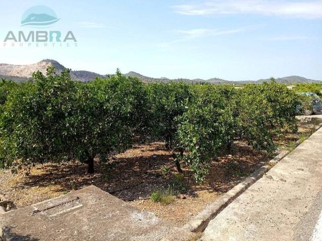 Terreno en venta en la Marina Alta, Valencia