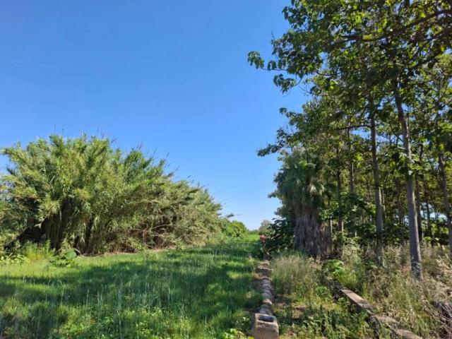 Terreno en venta en la Marina Alta, Valencia