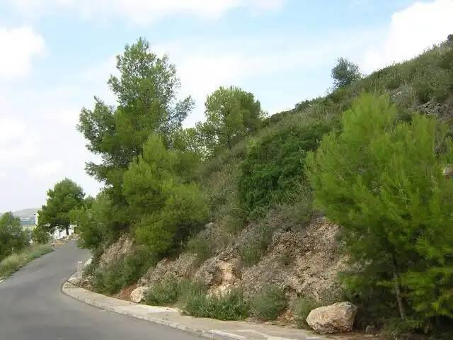 Terreno en venta en la Marina Alta, Valencia
