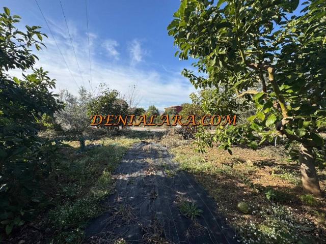 Terreno en venta en la Marina Alta, Valencia