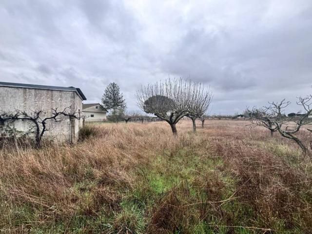 Terreno en venta en Pelabravo, Castilla y León