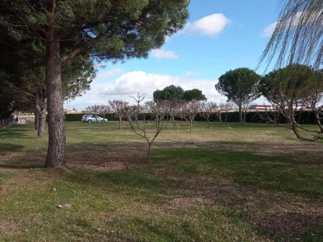 Terreno en venta en Pelabravo, Castilla y León
