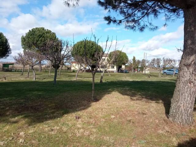 Terreno en venta en Pelabravo, Castilla y León