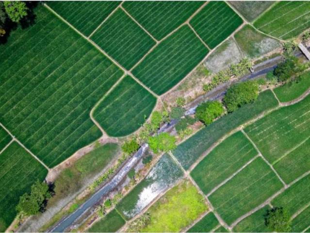 Terreno en venta en Pelayos, Salamanca
