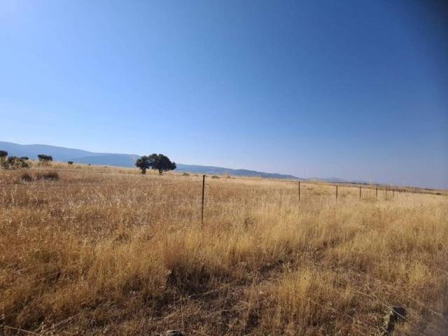 Terreno en venta en Pelayos Del Arroyo, Castilla y León